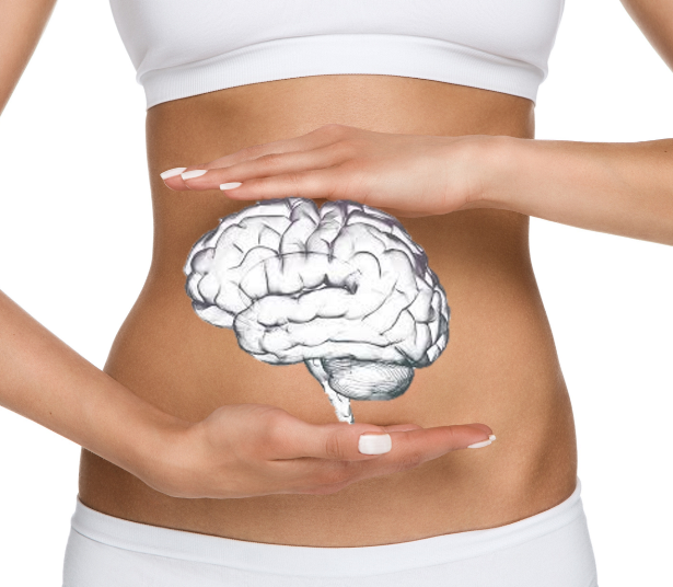 CMS Sanitas Psychodietetyka jelitowa